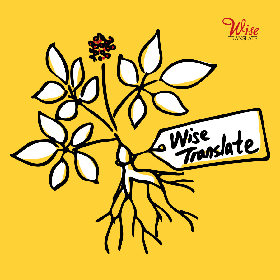 다국어 PDF파일, 레이아웃 그대로 한국어 번역하려면?